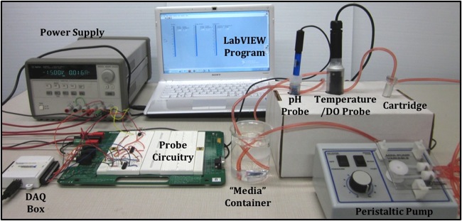 Integrated Bioreactor System: The final prototype for this semester. The peristaltic pump drives the media in a closed loop through the cartridge and sensing containers with the probes. The output of the probes is transmitted and manipulated by the circuitry and then fed into the LabVIEW program for display. 
