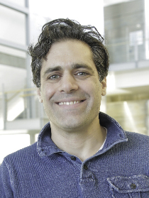 Profile picture for Dr. Aviad Hai