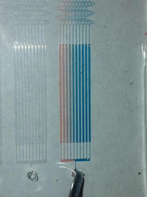 Two inlet solutions, blue and red, combine to form 10 slightly different colors as a result of the serpentine gradient-generating channels. Fluid flow from top to bottom.