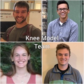 Knee Model Design Team: Noah, Luke, Kendall, Dylan