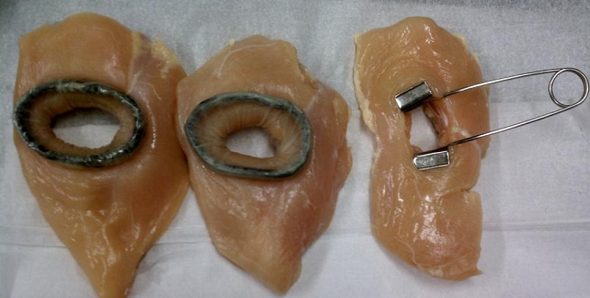 Tissue Testing in chicken, from left to right; revised Alexis® with polyurethane tube, revised Alexis® with nitrile tube, large metal spring retractor.